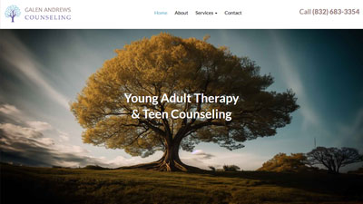 Young Adult Therapy